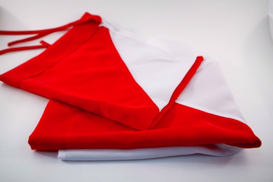 Picture of Semaphore Flag